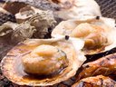 舟屋の浜焼き　魚屋海老蔵＜枚方市＞グルメウォーカー