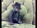 ������ ���� ���  ���� ����