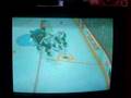 videos de Amazing save by Budaj
