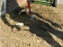 lekker buiten spelen
