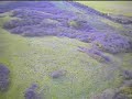 Hill soaring on Dunstable downs