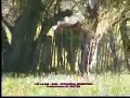 Las Lajas Provincia de Neuqu�n Argentina