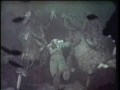Go Out - The Venus Video