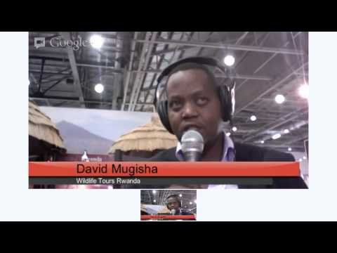 World Travel Mart London Wildlife Tours Rwanda