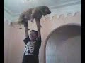 super pancho super pancho