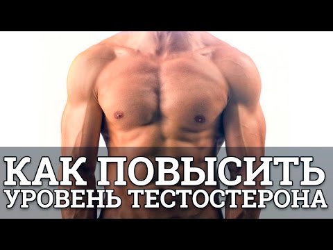 Кaк вырaботку собственного тестостеронa : Бесплатный сайт файлов