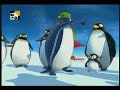 Pigloo - Reagee de pinguin