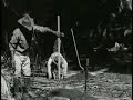 About Bananas (1935) Part One About Bananas (1935) Part One
