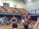 大相撲南部久慈場所 横綱白鵬土俵入り