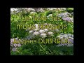 Le livre des morts tibétains - Bardo thodol