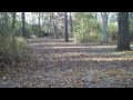 Parvin State Park - njHiking.com