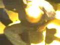 videos de WB4A.3gp