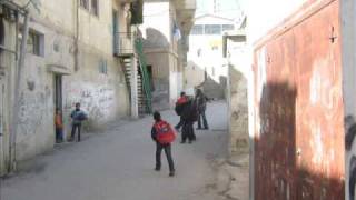 مخيم العروب - معن جوابرة - 2009