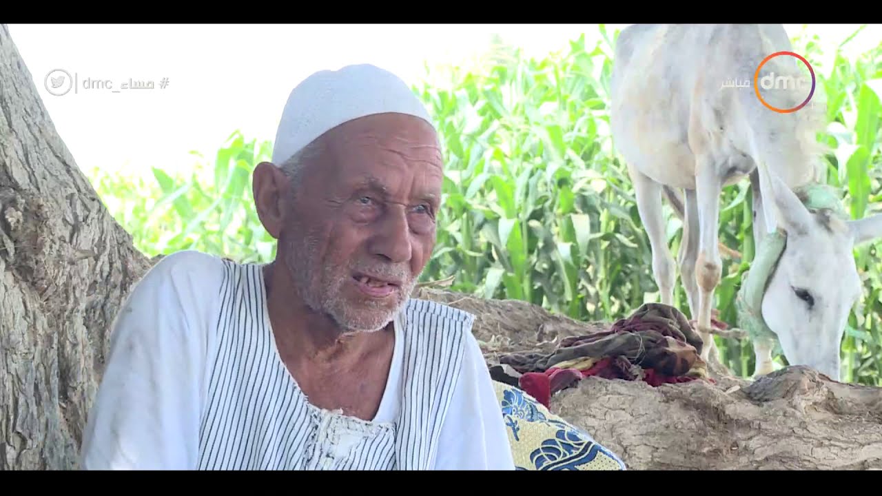 مساء dmc - حسين زهران .. عاشق العمل وصديق التوتة