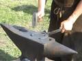 videos de Paarden