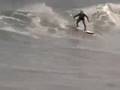A September in WeLLfLeeT ..