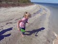 Fishing Dog