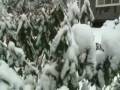 snowman part 2 snowman part 2