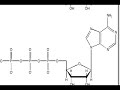 BC on Autism Episode 15: RNA, Shaken, Not Stirred