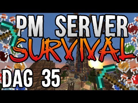 PM Server Survival: Dag 35