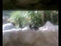 fuengirola zoo