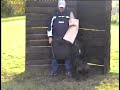 Akira Schutzdienst Akira Schutzdienst