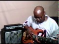 Peavey TL5 Custom Bartolini