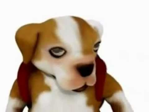 videoSXS - jajajjajaja comenten y publiquen ++++++++++GRACIAS++++++++++.