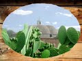 Tarimoro video