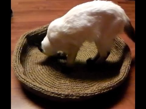 Anleitung Katzenkorb Hundekorb Korb häkeln - Häkelanleitung kostenlos