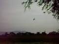 Fumigación Aerea