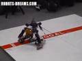 Wonderful-Robot-Carn