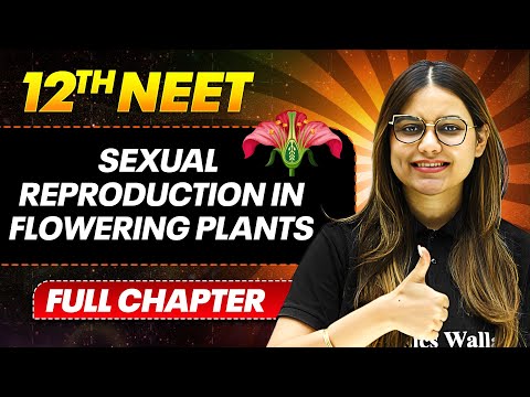 Sexual Reproduction in Flowering Plants FULL CHAPTER | Class 12th Botany | PhysicsWallah