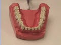 Smile Brush Floss - Flossing Tutorial