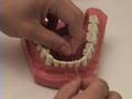 Smile Brush Floss - Flossing Tutorial