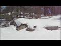 videos de McCrae Winter Hike - Snowboard Winter Hike
