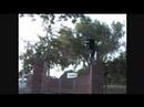 Presision to Backflip