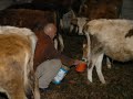 ali-ky-muhtari-berat-baaran.html
