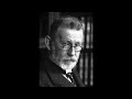 Paul Ehrlich, 1908 Nobel Laureate in Medicine (A Meditation)
