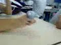 Pintooo