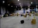 warehouse joust