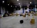 warehouse joust
