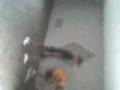 videos de en el bloque 4