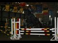 mes chevaux