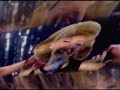 KYLIE MINOGUE - The one (Freemasons radio edit)