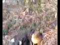 videos de Video from My Phone (1128081523.3g2)