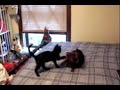 zoe playing with macy