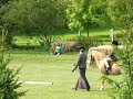 Rudry Lucky Sovereign -Trigger- RIHS LR SHP 08