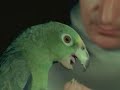 Le monde sans soleil: The parrot