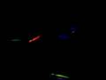 dancing Lights Prt.2